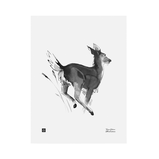 Teemu Järvi Illustrations Valkohäntäpeura juliste, 30 x 40 cm