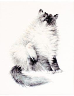 Taulu Micky