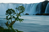 Canvas-taulu Godafoss Islanti 859