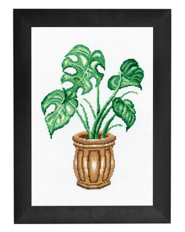 Taulu Monstera