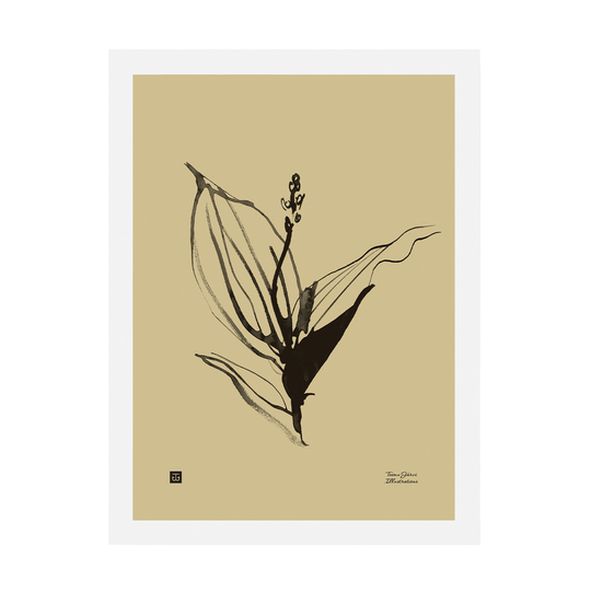 Teemu Järvi Illustrations Kielo juliste 30 x 40 cm, hiekka