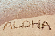 Canvas-taulu Aloha Havaiji 1050