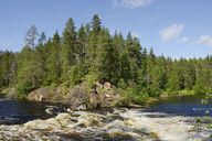 Canvas-taulu Oulanka Kuusamo 1689