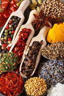 Canvas-taulu Indian spicy 1789