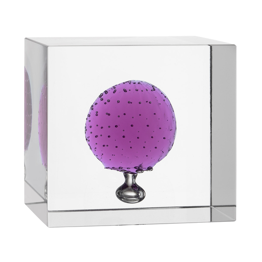 Iittala Vuosikuutio 2021