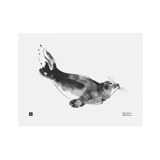 Teemu Järvi Illustrations Saimaannorppa juliste, 30 x 40 cm