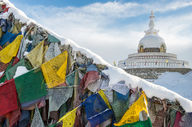 Canvas-taulu Shanti Stupa Intia 1163