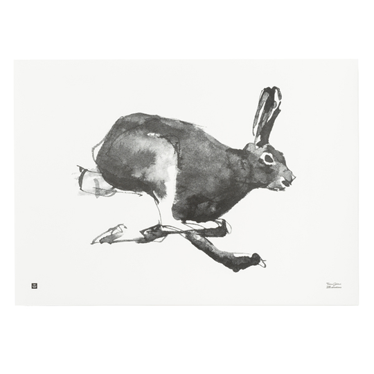 Teemu Järvi Illustrations Jänis juliste, 70 x 50 cm