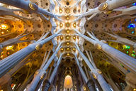 Canvas-taulu Sagrada Familia Barcelona 626
