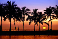 Canvas-taulu Miami Beach 1114