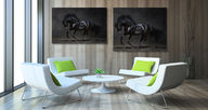 Canvas-taulu Mustang hevonen MV 180