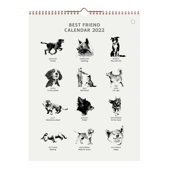 Teemu Järvi Illustrations Best Friend kalenteri 2022, 30 x 40 cm