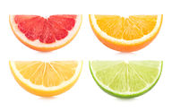 Canvas-taulu Citrus 480
