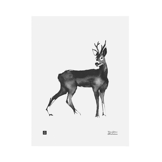Teemu Järvi Illustrations Kauris juliste 30 x 40 cm