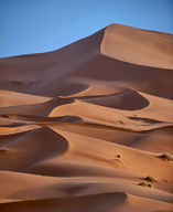 Canvas-taulu Sahara hiekkadyyni 275