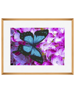 Diamond painting/ Paint by numbers Perhonen