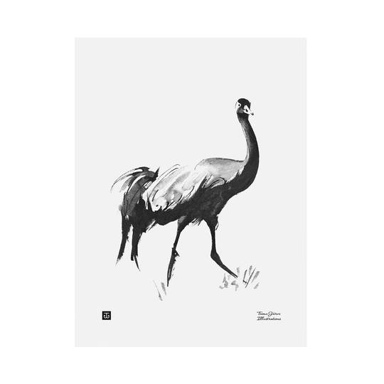 Teemu Järvi Illustrations Kurki juliste, 30 x 40 cm