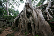 Canvas-taulu Angkor Watin temppeli 845