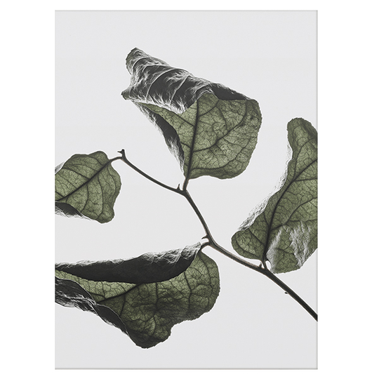 Paper Collective Floating Leaves 03