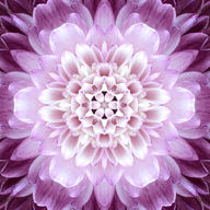 Canvas-taulu Mandala 1092