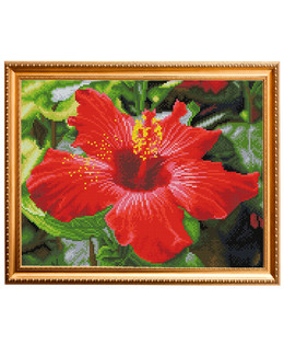 Diamond Dotz Hibiskus