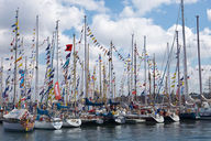 Canvas-taulu Tall Ships Pietari 1506